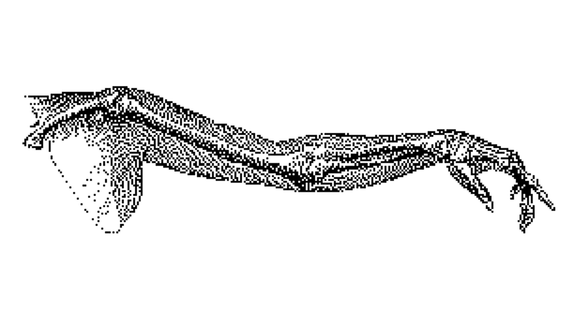anatomical image of the arm