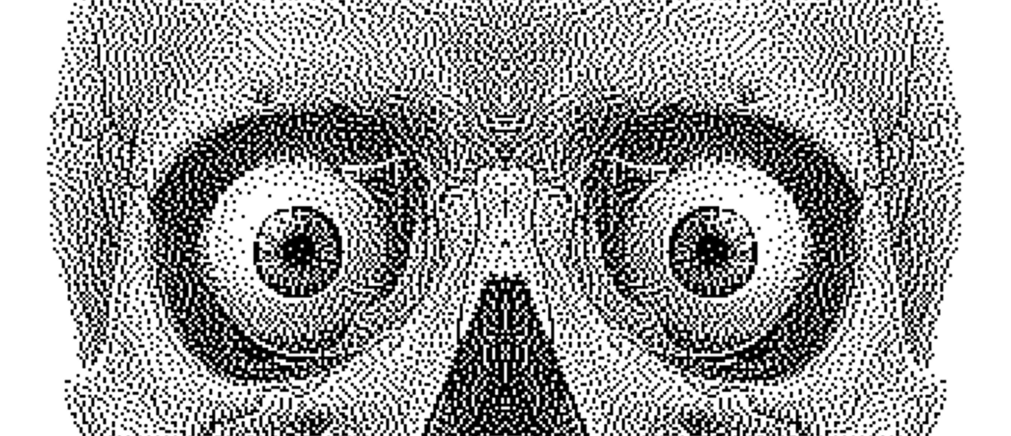 anatomical image of eyes in the skull