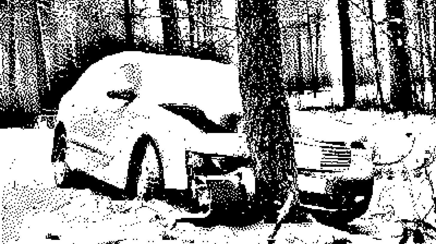 A car crashed into a tree